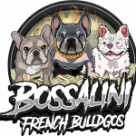 Bossalini French Bulldogs